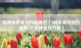 如何快速提升网站排名（5种长尾优化方法和6个快速优化方案）