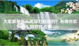 大家都是怎么用磁力链接的？有哪些软件？附软件合集 (23)