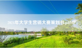 2024年大学生营销大赛策划书.pdfVIP