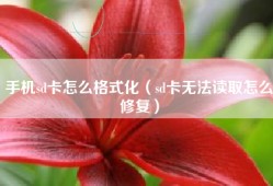 手机sd卡怎么格式化（sd卡无法读取怎么修复）
