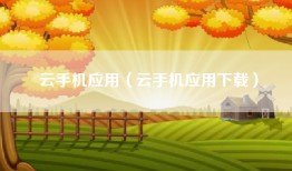 云手机应用（云手机应用下载）