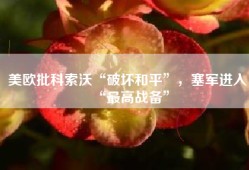 美欧批科索沃“破坏和平”，塞军进入“最高战备”