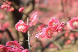 江苏省人民医院试管婴儿费用公开，生殖中心助孕至少3万