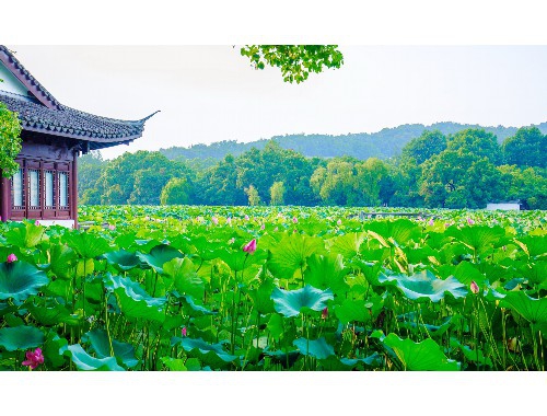 娌抽之境：海南万泉旅游景点探秘