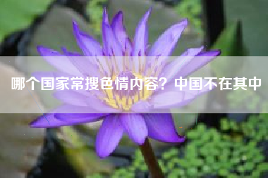 哪个国家常搜色情内容？中国不在其中
