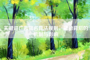 关键词广告排名算法规则，揭秘背后的机制与影响