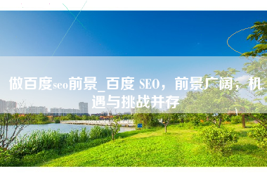 做百度seo前景_百度 SEO，前景广阔，机遇与挑战并存