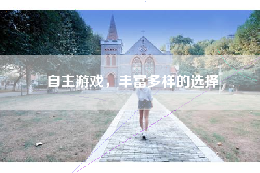 自主游戏，丰富多样的选择