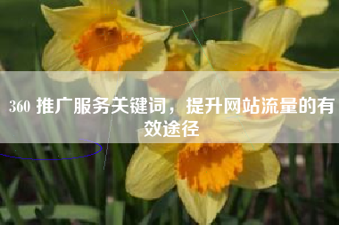 360 推广服务关键词，提升网站流量的有效途径