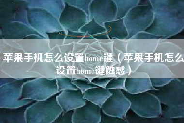苹果手机怎么设置home键（苹果手机怎么设置home键触感）