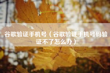 谷歌验证手机号（谷歌验证手机号码验证不了怎么办）
