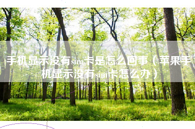 手机显示没有sim卡是怎么回事（苹果手机显示没有sim卡怎么办）