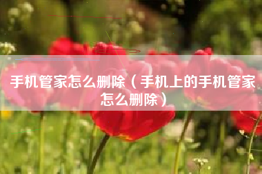 手机管家怎么删除（手机上的手机管家怎么删除）