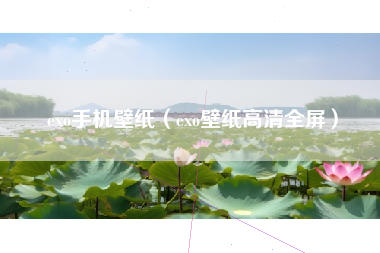 exo手机壁纸（exo壁纸高清全屏）
