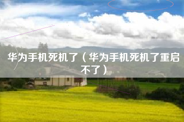 华为手机死机了（华为手机死机了重启不了）