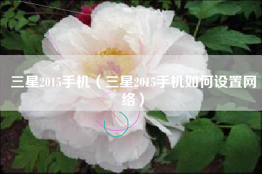 三星2015手机（三星2015手机如何设置网络）