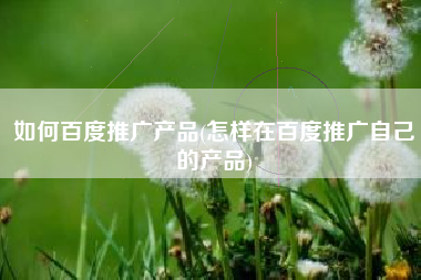 如何百度推广产品(怎样在百度推广自己的产品)
