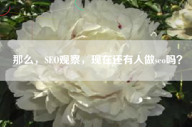 那么，SEO观察，现在还有人做seo吗？