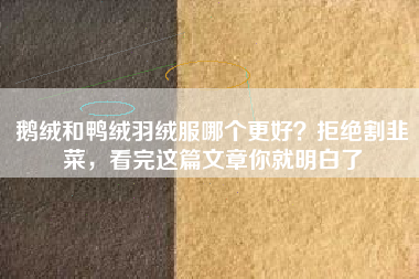 鹅绒和鸭绒羽绒服哪个更好？拒绝割韭菜，看完这篇文章你就明白了
