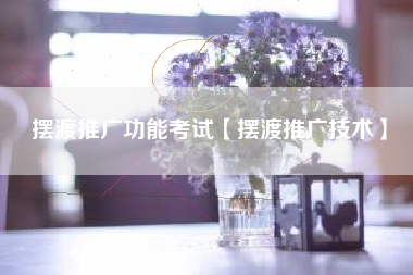 摆渡推广功能考试【摆渡推广技术】