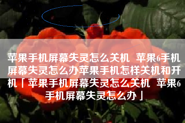 苹果手机屏幕失灵怎么关机  苹果6手机屏幕失灵怎么办苹果手机怎样关机和开机「苹果手机屏幕失灵怎么关机  苹果6手机屏幕失灵怎么办」